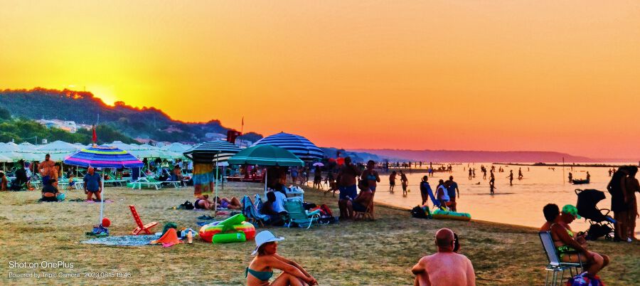 Dantebus L'arte, oggi, va subito lontano